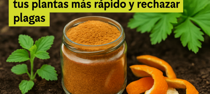 Este es el ingrediente que hace que las plantas crezcan más rápido y ahuyenta las plagas. Este es el ingrediente que hace que las plantas crezcan más rápido y ahuyenta las plagas.