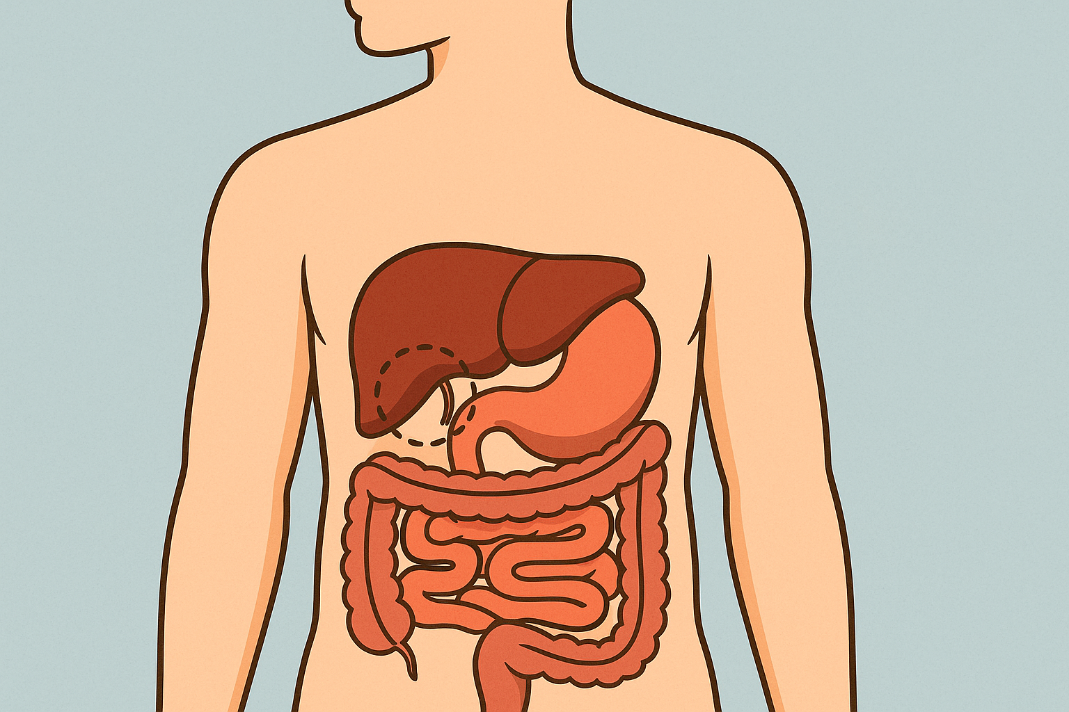 ¿Qué pasa con tu cuerpo cuando te extirpan la vesícula biliar?