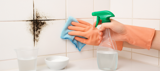 Cómo eliminar el moho de la ducha y la bañera.