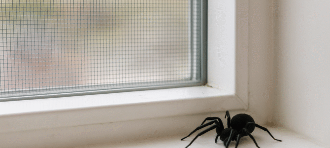 Mantén las ventanas cerradas para evitar que las arañas entren a tu casa Mantén las ventanas cerradas para evitar que las arañas entren a tu casa