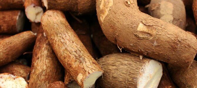 Yuca: nutrientes, beneficios y recomendaciones para consumirla Yuca: nutrientes, beneficios y recomendaciones para consumirla