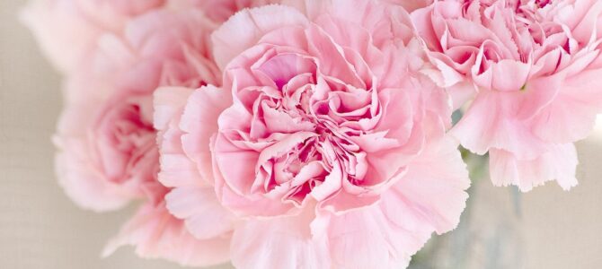 Cómo conservar flores cortadas frescas durante 30 días: guía práctica de cuidados en casa Cómo conservar flores cortadas frescas durante 30 días: guía práctica de cuidados en casa