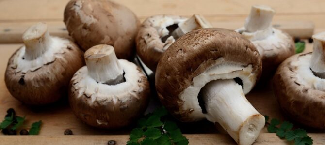 Cómo enraizar rosas con un ingrediente natural de cocina: método casero paso a paso