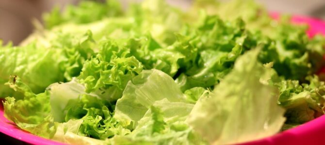 Cómo lavar la lechuga correctamente para eliminar bacterias y residuos antes de consumirla Cómo lavar la lechuga correctamente para eliminar bacterias y residuos antes de consumirla