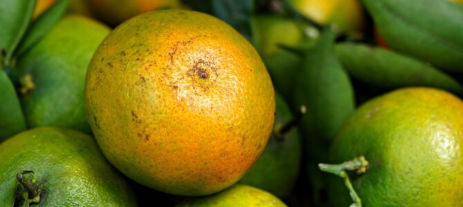 No tires las cáscaras de mandarina: el truco natural para perfumar tu casa y 10 usos más
