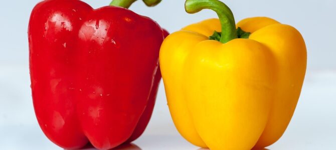 Cómo cultivar pimiento en botella PET invertida: guía paso a paso