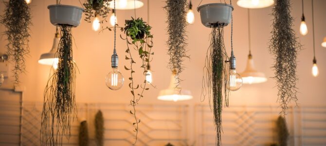 Cómo lograr una floración abundante en plantas colgantes durante todo el verano