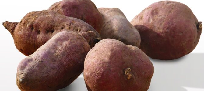 Cómo multiplicar plantines de batata mediante esquejes: guía práctica de propagación