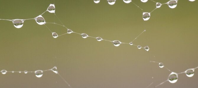 El silencio de mi esposa después de mi confesión: lo que descubrí semanas después cambió mi vida para siempre