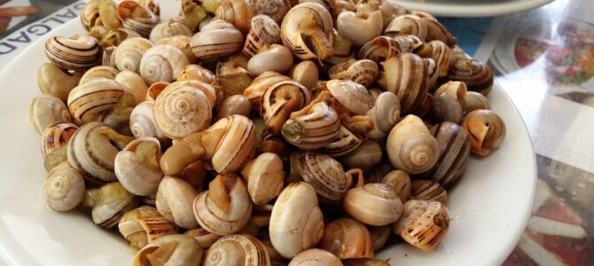 Guiso de lentejas: la receta ideal para los días fríos
