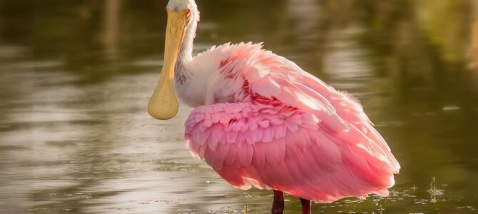 Le pidió dividir la cuenta en San Valentín: el final inesperado de una relación de siete años Le pidió dividir la cuenta en San Valentín: el final inesperado de una relación de siete años