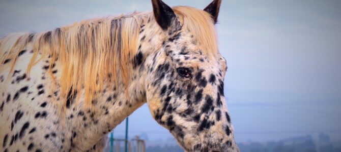 Manchas oscuras en cuello y axilas: qué revela esta señal de la piel sobre tu salud