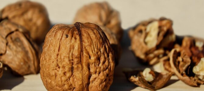 Usos prácticos de las cáscaras de huevo en el microondas: aplicaciones para el hogar y el jardín