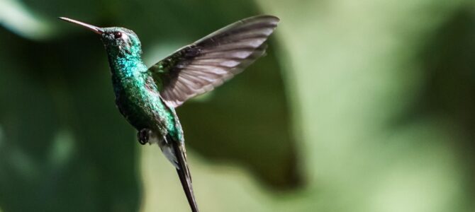 A los cincuenta descubrí que un vestido verde esmeralda podía cambiar mi vida entera