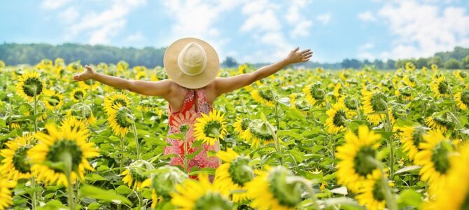 La promesa de 60 girasoles: una historia sobre el amor verdadero y el valor de reconocer lo que merecemos La promesa de 60 girasoles: una historia sobre el amor verdadero y el valor de reconocer lo que merecemos
