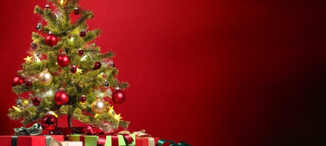 Le dijeron que no fuera a Navidad y decidió viajar sola por Europa: una historia sobre reinventarse después de los 60