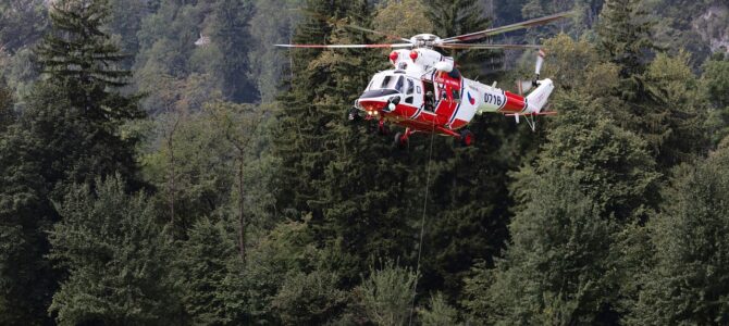 Rescate en la taiga: un joven salva a un cachorro de tigre y descubre una red de cazadores furtivos Rescate en la taiga: un joven salva a un cachorro de tigre y descubre una red de cazadores furtivos