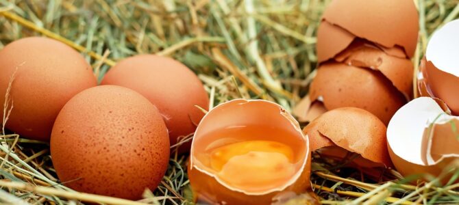 Una pareja se pierde en la montaña y descubre por accidente un nido con huevos gigantes dentro de una cueva