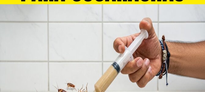 Cebo casero para cucarachas con jeringa: la técnica de un ex fumigador
