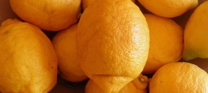 Cómo conservar los limones por más tiempo: métodos efectivos para mantenerlos frescos y jugosos