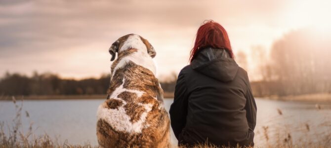 Cuando mi perro me trajo el suéter de mi hija fallecida: una historia de duelo, lealtad y verdad oculta