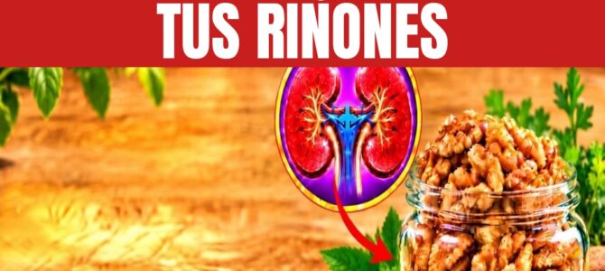 Nueces: esto es lo que realmente le hacen a tus riñones Nueces: esto es lo que realmente le hacen a tus riñones
