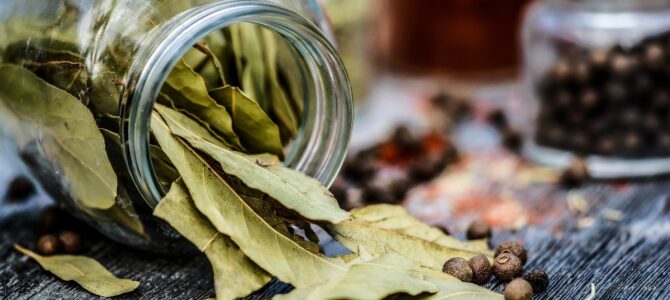 Por qué colocar una hoja de laurel en la cubeta del trapeador: el truco casero que aporta aroma a tu limpieza