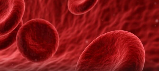 ¿Tu tipo de sangre influye en cómo envejeces? Esto es lo que se sabe ¿Tu tipo de sangre influye en cómo envejeces? Esto es lo que se sabe