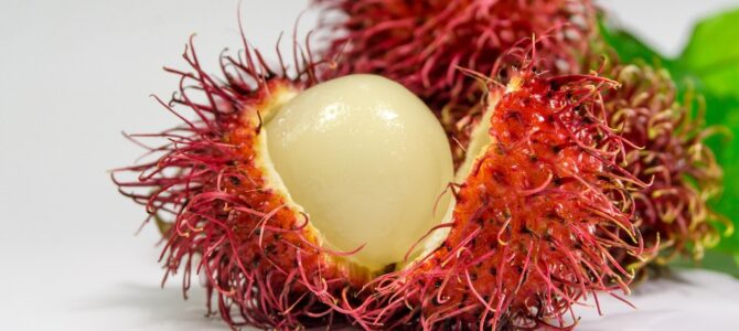 Vitaminas y crecimiento del cabello: qué dice realmente la ciencia