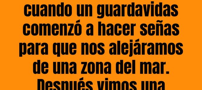 Bandera roja y negra en la playa: qué significa y por qué debes salir del agua
