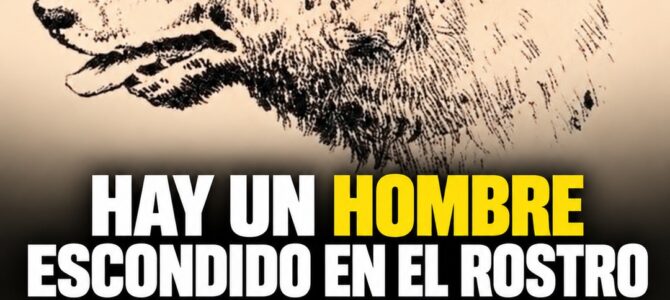 ¿Puedes encontrar al hombre escondido en el rostro de este perro?