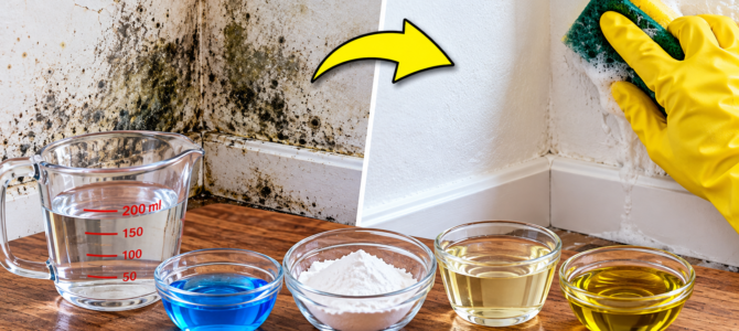 El truco de un pintor profesional para quitar el moho de las paredes con ingredientes que tienes en casa