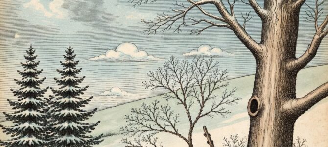 Reto visual: ¿puedes encontrar a la mujer escondida entre los árboles nevados?