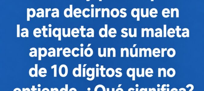 El significado oculto de la etiqueta de tu maleta: qué quiere decir ese número de 10 dígitos